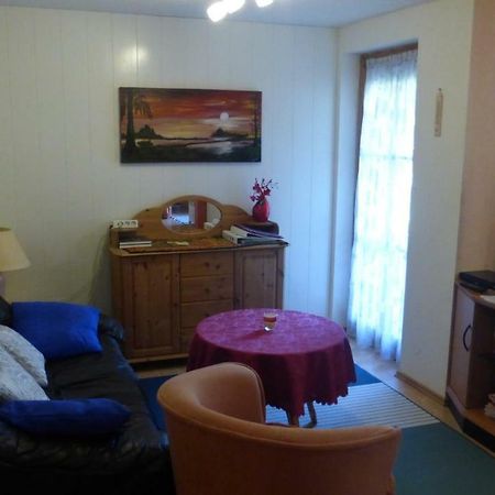 Appartement Schwarzwaldhaus à Elzach Extérieur photo